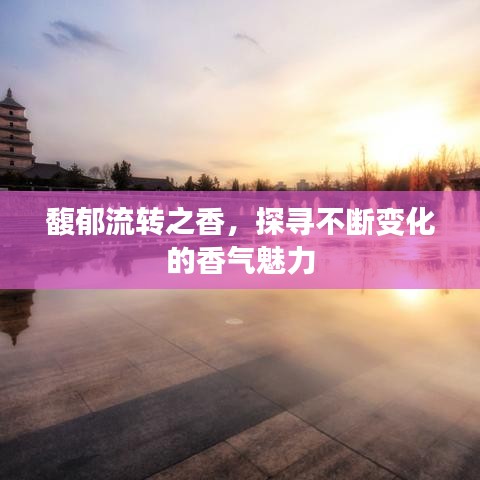 馥郁流轉之香，探尋不斷變化的香氣魅力