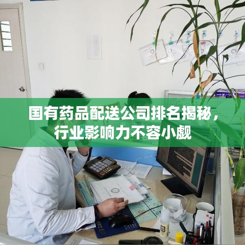 國(guó)有藥品配送公司排名揭秘，行業(yè)影響力不容小覷