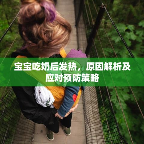 寶寶吃奶后發(fā)熱，原因解析及應(yīng)對預(yù)防策略