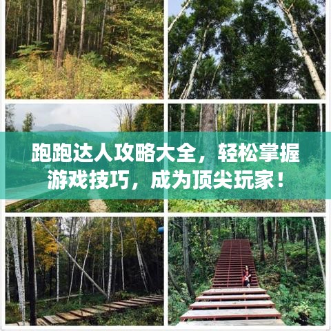 跑跑達(dá)人攻略大全，輕松掌握游戲技巧，成為頂尖玩家！
