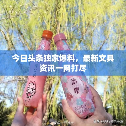 今日頭條獨(dú)家爆料，最新文具資訊一網(wǎng)打盡
