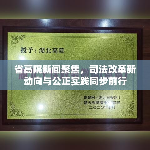 省高院新聞聚焦，司法改革新動向與公正實踐同步前行