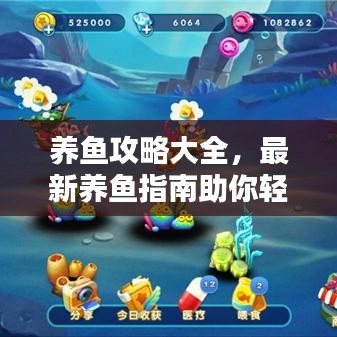 養(yǎng)魚(yú)攻略大全，最新養(yǎng)魚(yú)指南助你輕松成為養(yǎng)魚(yú)達(dá)人！