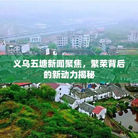 義烏五塘新聞聚焦，繁榮背后的新動(dòng)力揭秘