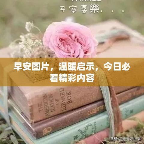 早安圖片，溫暖啟示，今日必看精彩內(nèi)容